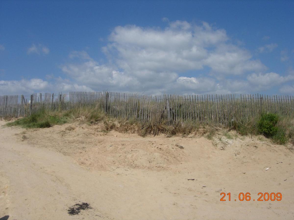 Ker Ocean 3 Au Bord Des Dunes Logement Du Bout Famille Duprez Gobert Erdeven Buitenkant foto